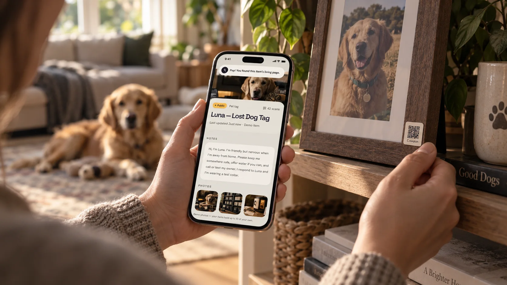 An Everglyph pet-care record on a phone in a calm home setting