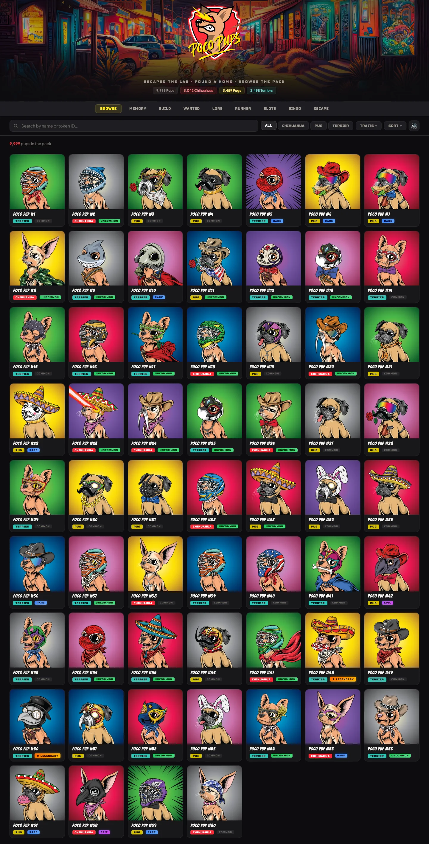 Live Poco Pups collection browser with breed filters, trait filters and character cards