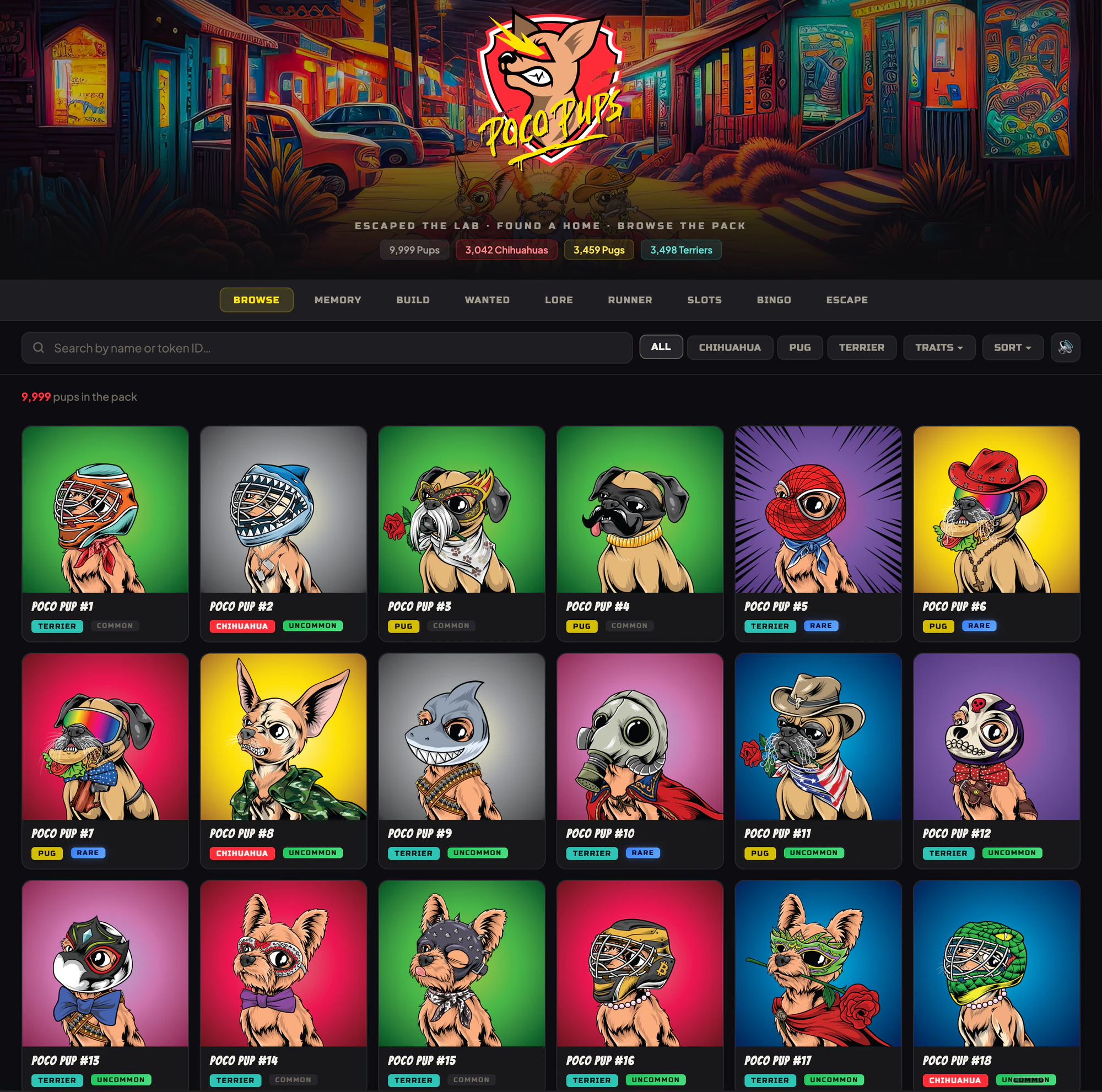 Poco Pups live collection browser showing the identity, pack totals, filters and illustrated character grid